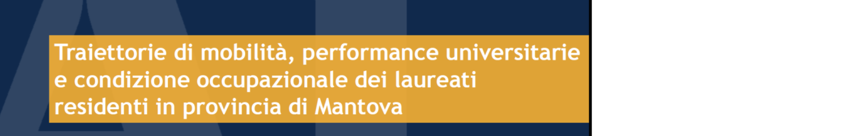 Report AlmaLaurea 2025 Mantova